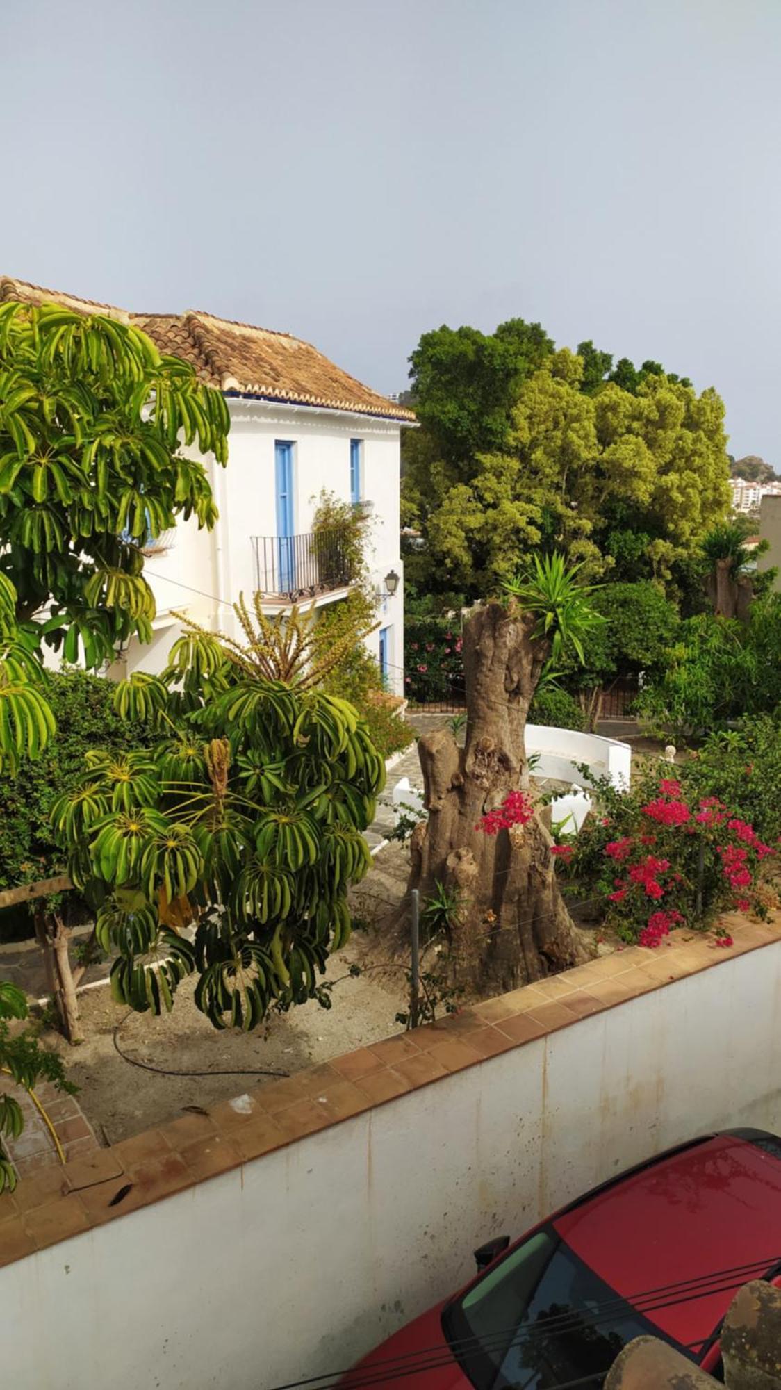 Apartamento Sabor Andaluz Almuñécar Exterior foto
